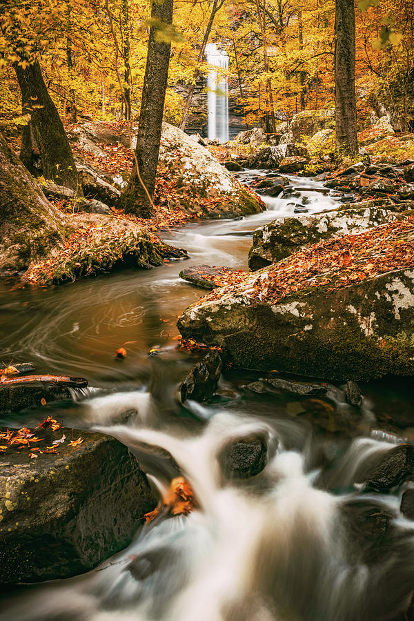 Tree Photograph - Autumn Dreams At Cedar Falls by Gregory Ballos