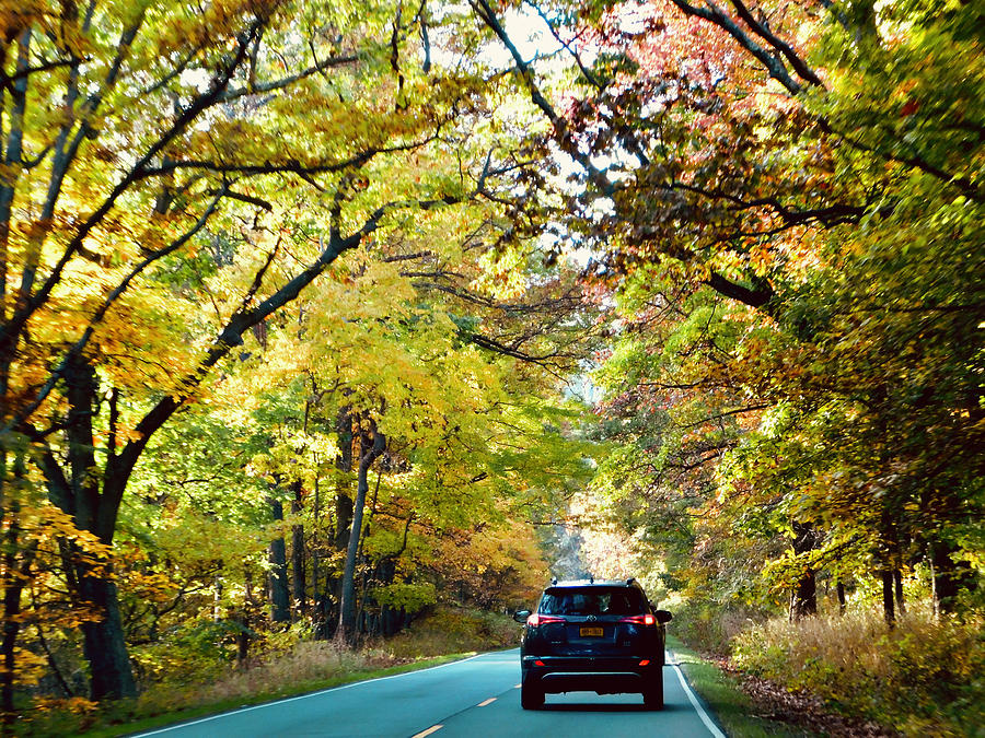 Autumn Drive 2021 Photograph by Arlane Crump Fine Art America