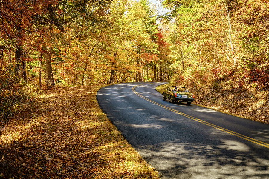 Autumn drive Photograph by Alexey Stiop