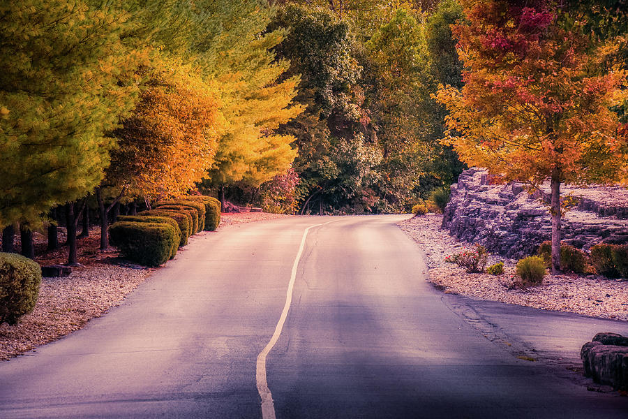 Autumn Drive Photograph by Allin Sorenson