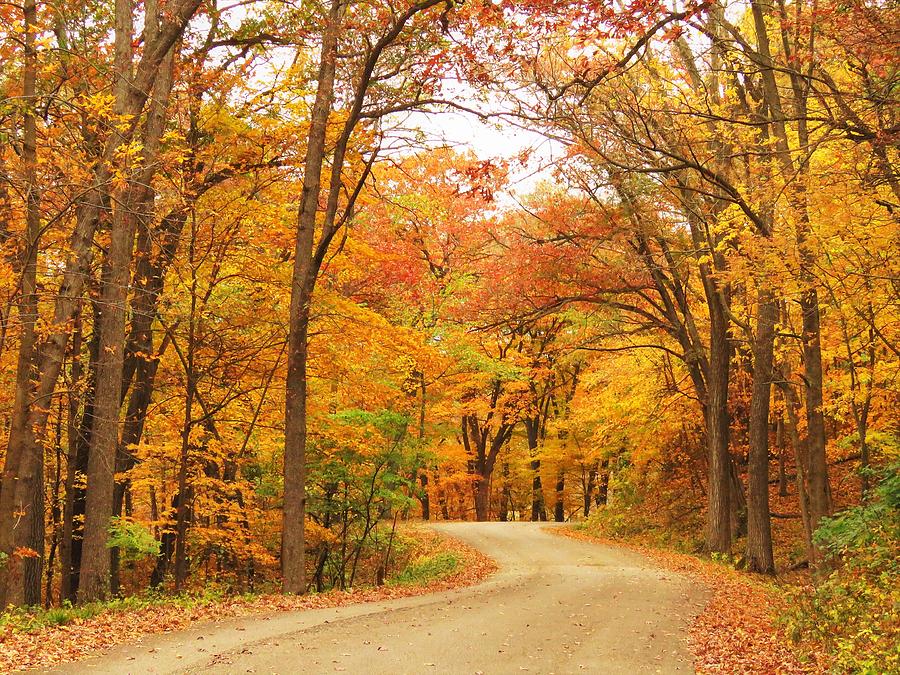 Autumn Drive at the Backbone  Photograph by Lori Frisch