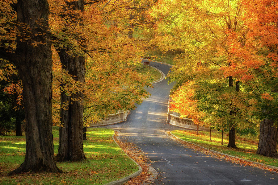 Autumn Drive Photograph by Carolyn Odell Fine Art America