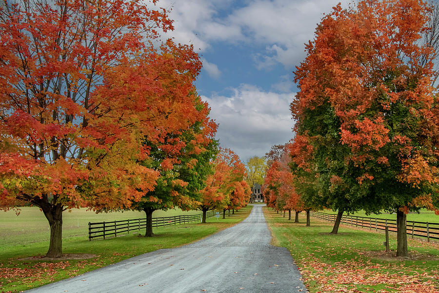 Autumn Drive Photograph by Cathy Kovarik