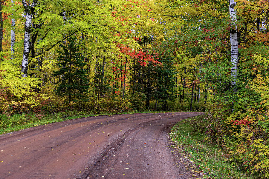 Autumn Drive Photograph by Flowstate Photography