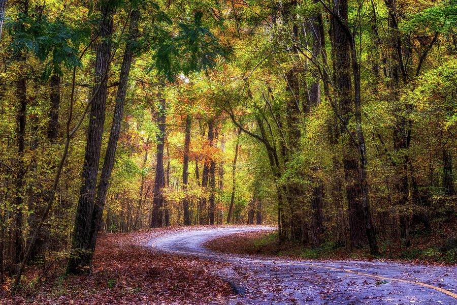 Autumn Drive Photograph by Susan Rissi Tregoning Autumn Drive Photograph by Susan Rissi Tregoning