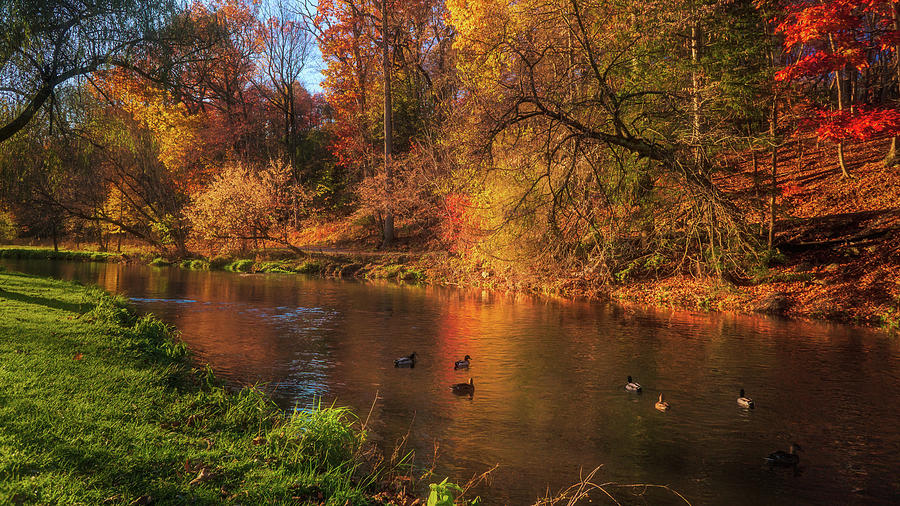 Autumn Ducks on the Little Lehigh Creek Photograph by Jason Fink