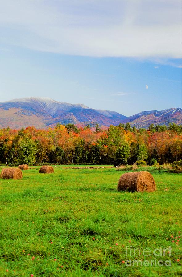 Autumn dusk in the White Mountains Photograph by Michael McCormack ...