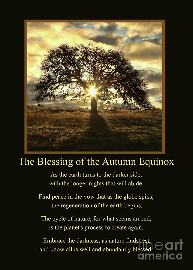 Autumn Equinox Mabon Blessing Card With Oak Tree And Sun Photograph By