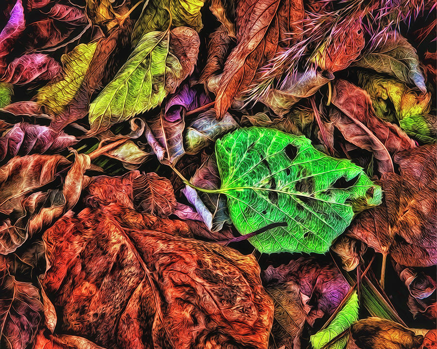 Autumn Extravaganza - Abstract Photograph by Steve Sullivan