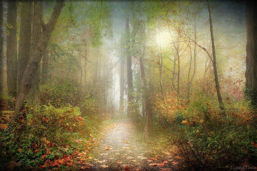 Autumn  fading Photograph by Cybele Moon