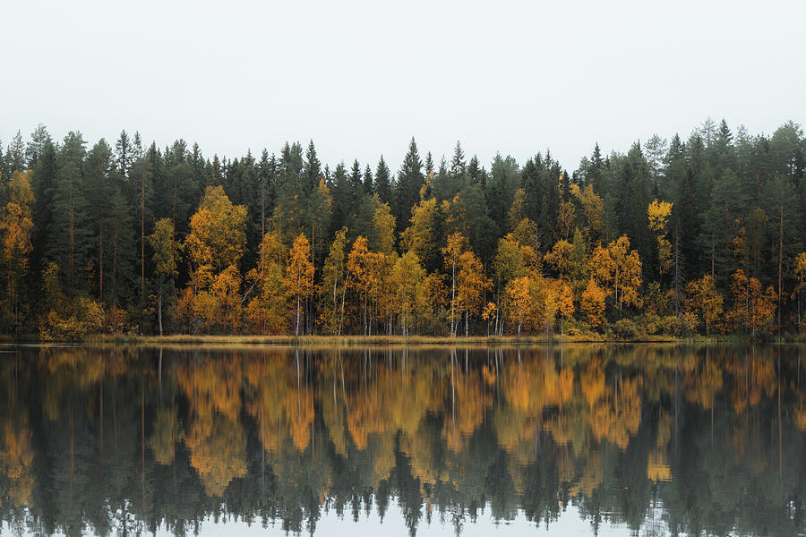 Autumn fairy tale in Kainuu, Finland Photograph by Vaclav Sonnek