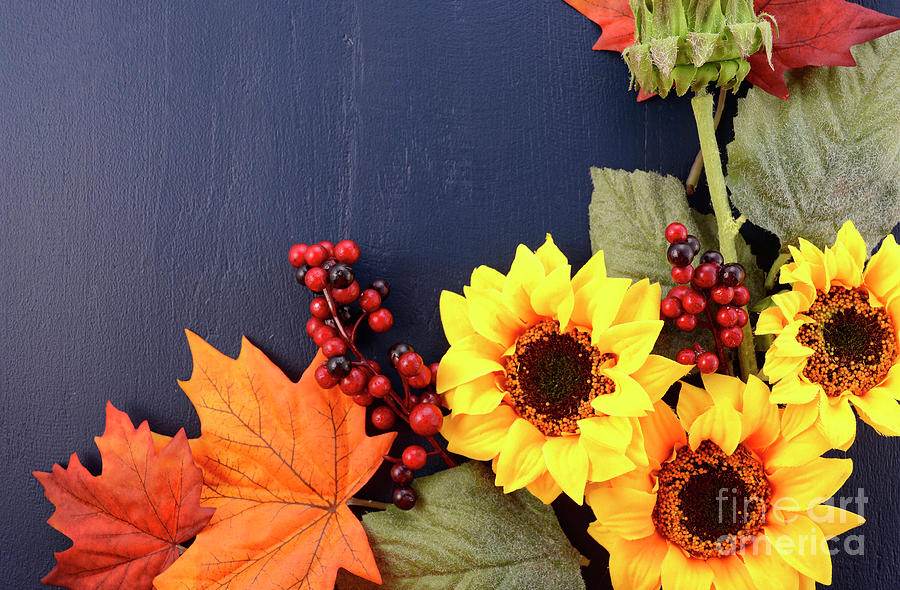 Autumn Fall Background with Decorated Borders.  Photograph by Milleflore Images