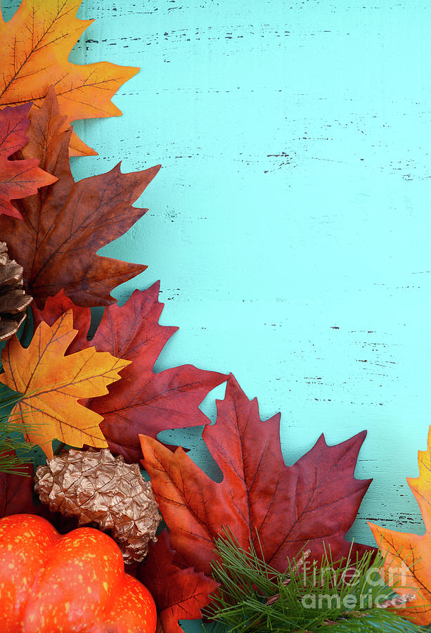 Autumn Fall Rustic Wood Background. Photograph by Milleflore Images