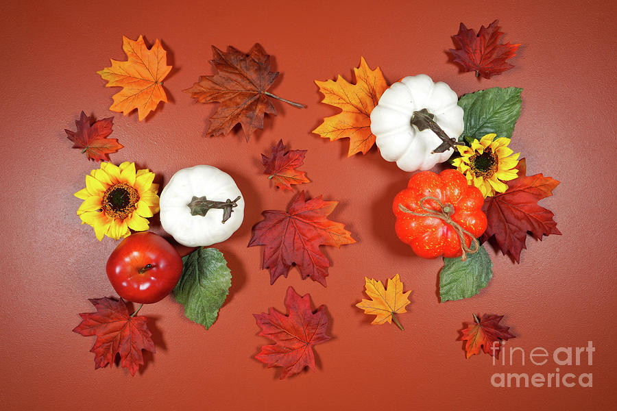 Autumn Fall theme flat lay background with pumpkins and maple leaves. Photograph by Milleflore Images