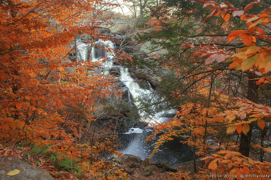 Autumn Falls Photograph
