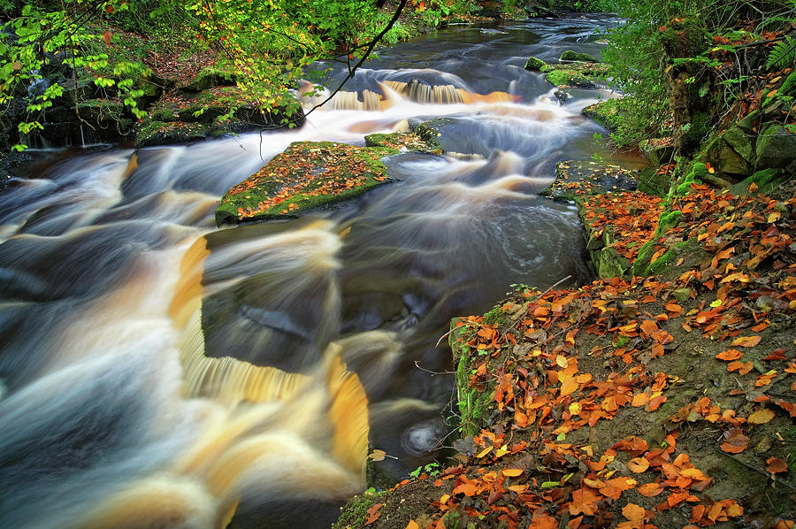 Autumn Falls Photograph by Darren Galpin - Pixels