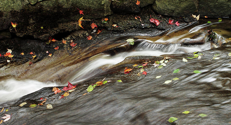 Autumn Falls II Photograph by Cameron Wood