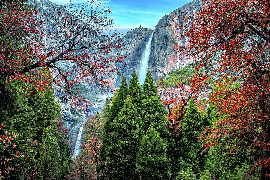 Autumn Falls In Yosemite Photograph