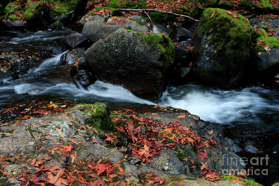 Autumn Fantasy Land 2- Sweet Creek Falls Photograph by Janie Johnson