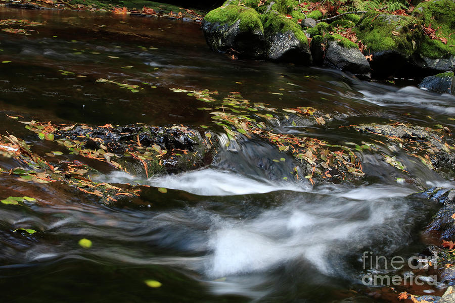 Autumn Fantasy Land 3- Sweet Creek Falls Photograph by Janie Johnson