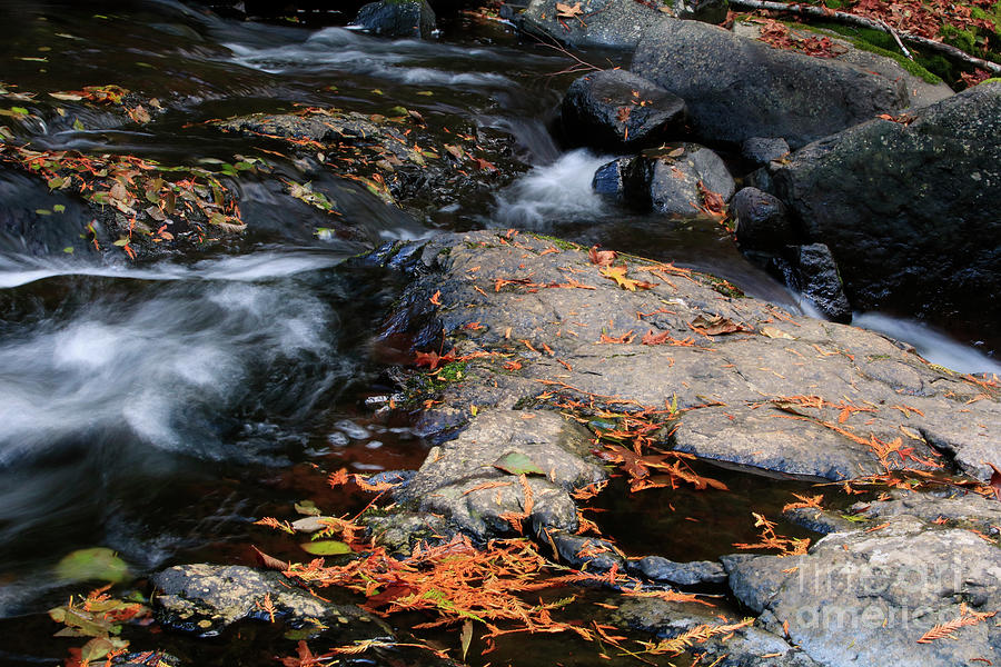 Autumn Fantasy Land 4- Sweet Creek Falls Photograph by Janie Johnson