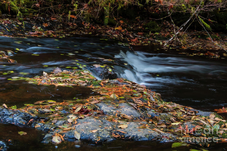 Autumn Fantasy Land 5- Sweet Creek Falls Photograph by Janie Johnson