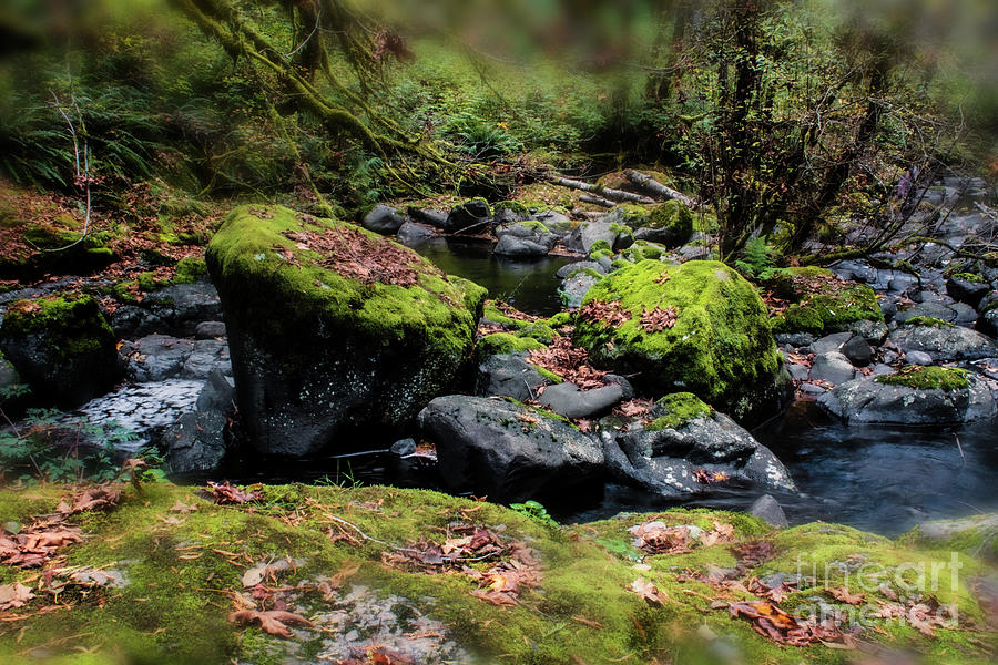 Autumn Fantasy Land 6- Sweet Creek Falls Photograph by Janie Johnson