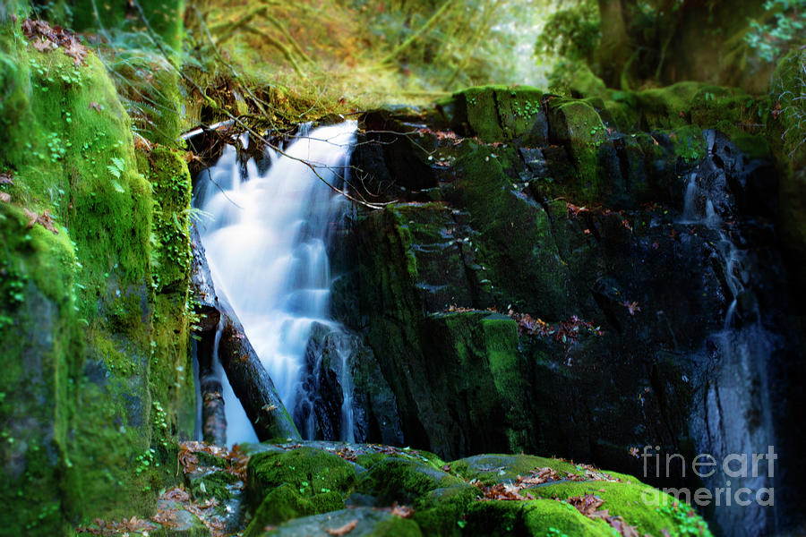 Autumn Fantasy Land 7- Sweet Creek Falls Photograph by Janie Johnson