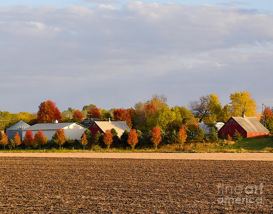 Autumn Farm In Iowa Photograph