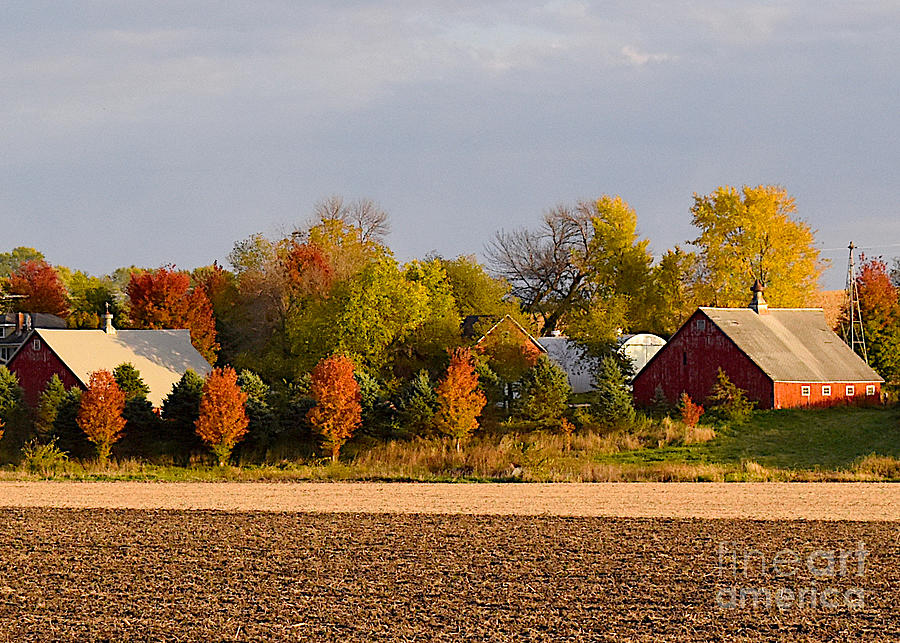 Autumn Farm Photograph