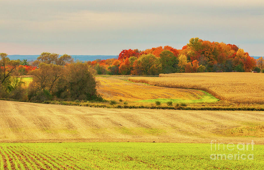 Autumn Farmland Photograph by Charline Xia