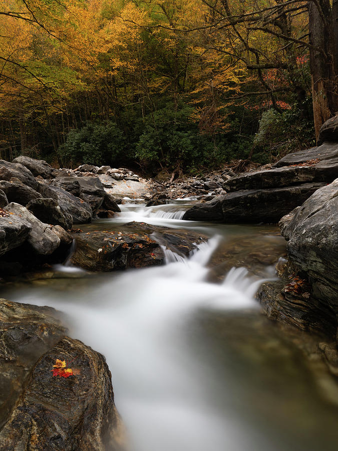 Autumn Feels Blue Ridge Mountains Photograph by Donnie Whitaker