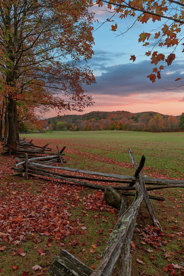 Autumn Fence Norfolk by Bill Wakeley Autumn Fence Norfolk by Bill Wakeley