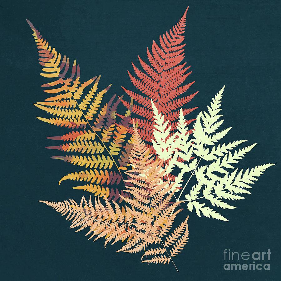 Nature Digital Art - Autumn Fern by Spacefrog Designs