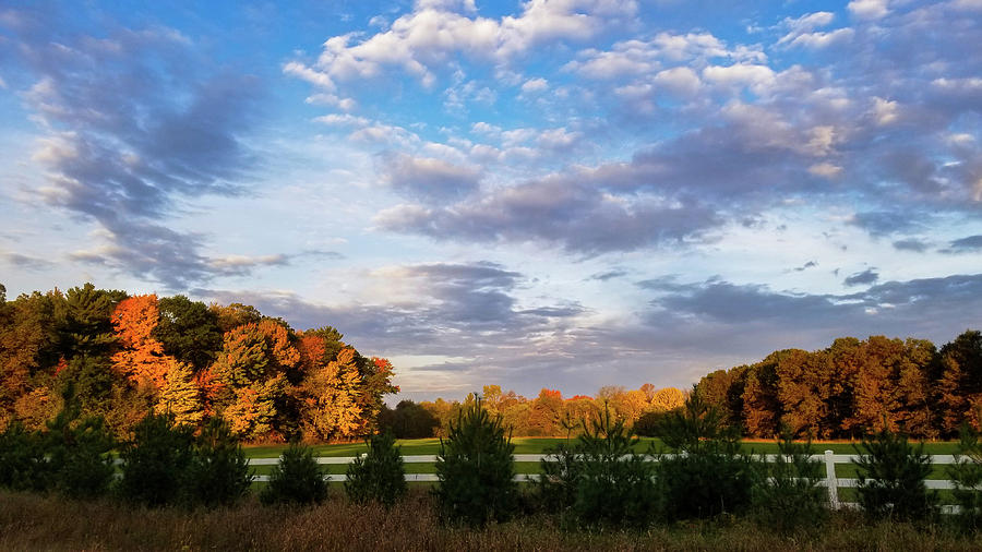 Autumn Field Photograph by Brook Burling