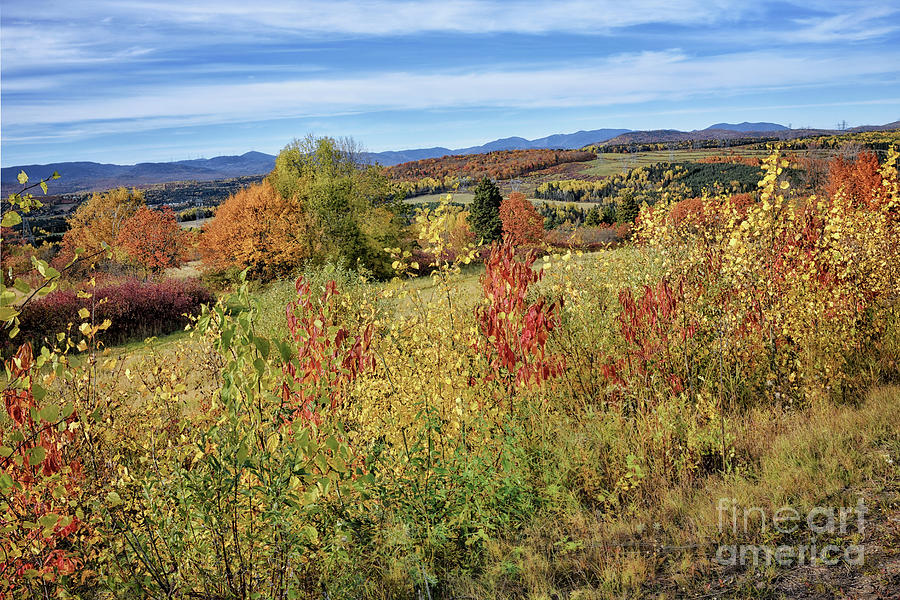 Autumn Fields Beyond Beaupre Photograph