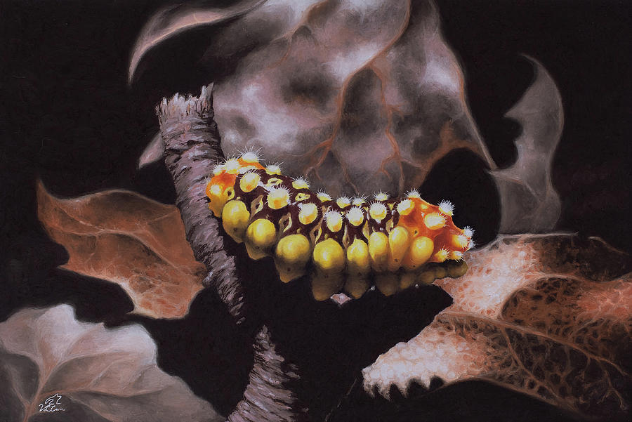 Nature Pastel - Autumn Fire / fall colors caterpillar print by V Leigh Carr Nature Pastel - Autumn Fire / fall colors caterpillar print by V Leigh Carr