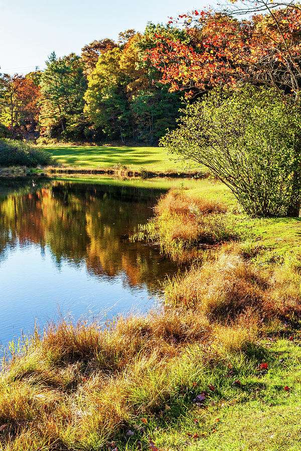 Autumn Fishing Pond Photograph by Dan Carmichael