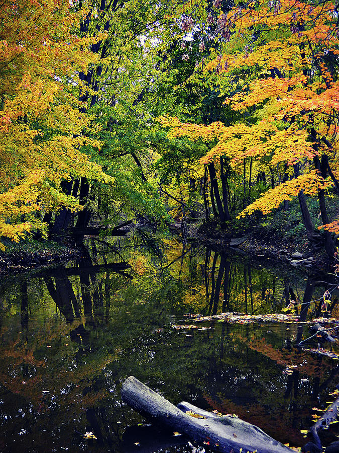 Autumn Flow 38 Photograph by Cyryn Fyrcyd
