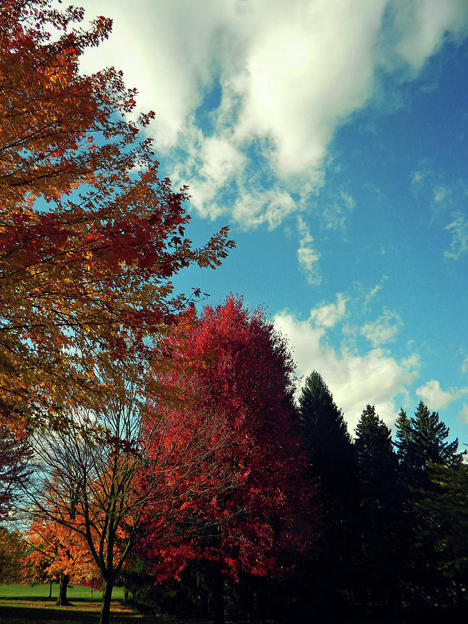 Autumn Flow 51 Photograph by Cyryn Fyrcyd