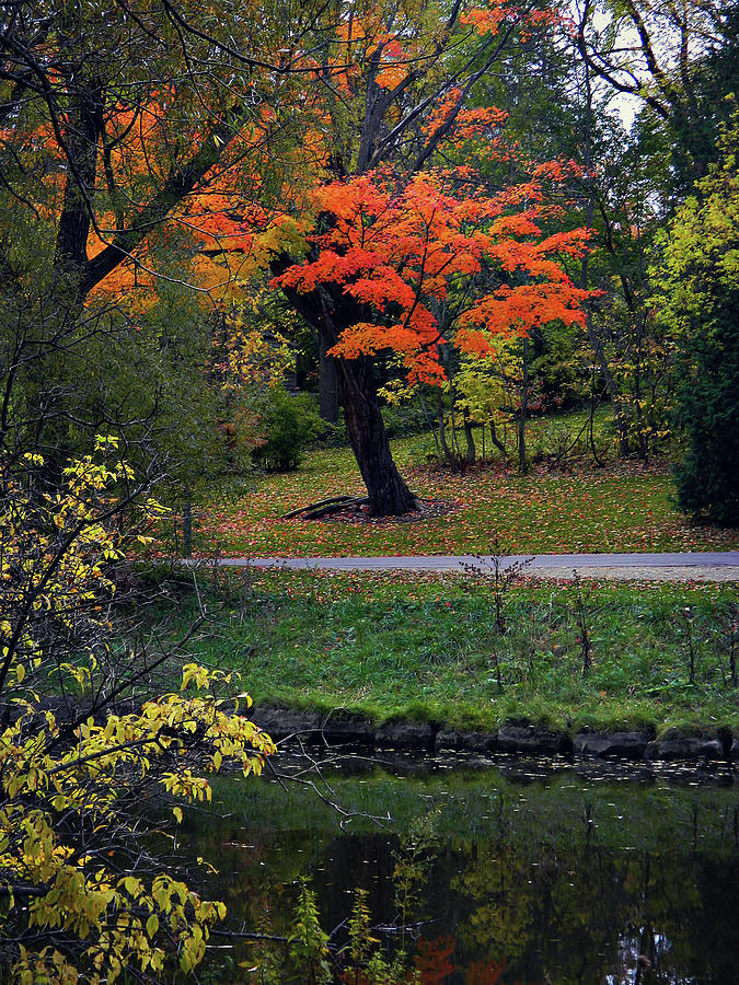 Autumn Flow 58 Photograph by Cyryn Fyrcyd