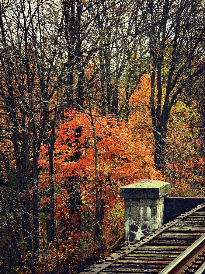 Autumn Flow 62 Photograph by Cyryn Fyrcyd