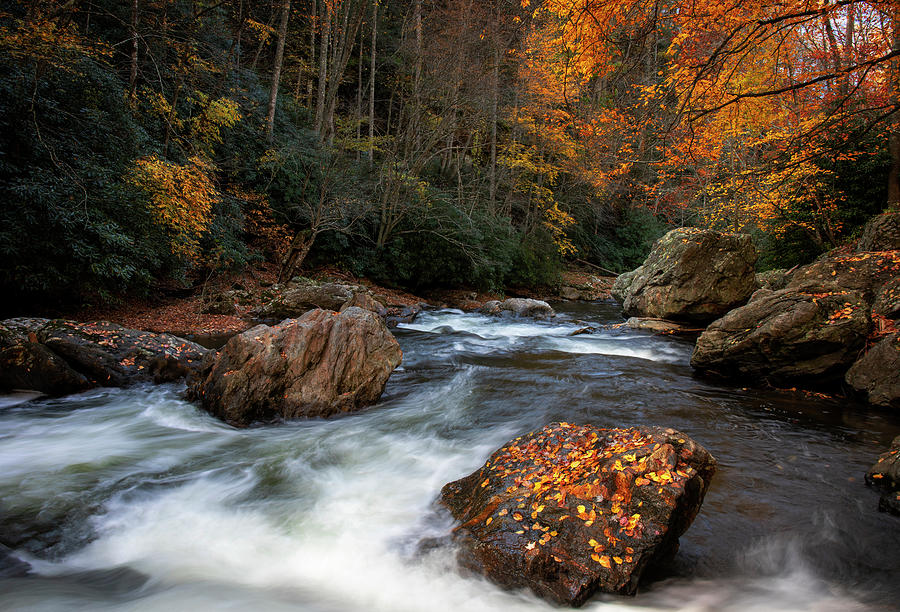 Autumn Flow Photograph by Dan Sproul