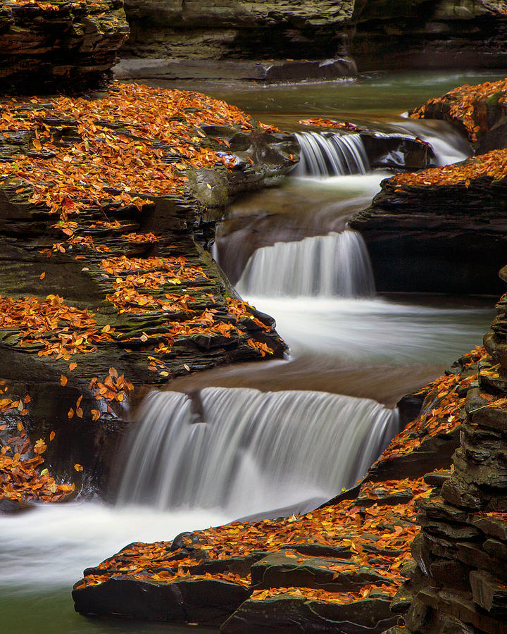 Autumn Flow Photograph by Timothy McIntyre