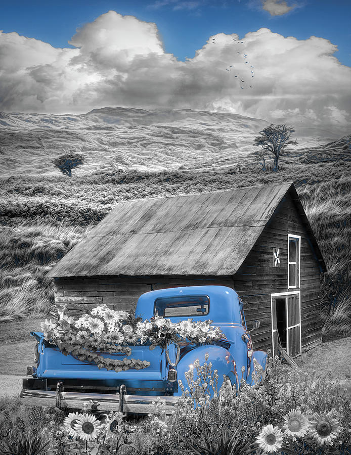 Autumn Flower Farm Black and White and Blue Photograph by Debra and Dave Vanderlaan