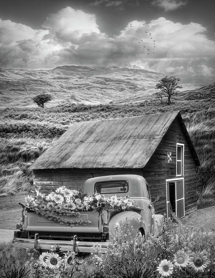 Autumn Flower Farm Black and White Photograph by Debra and Dave Vanderlaan