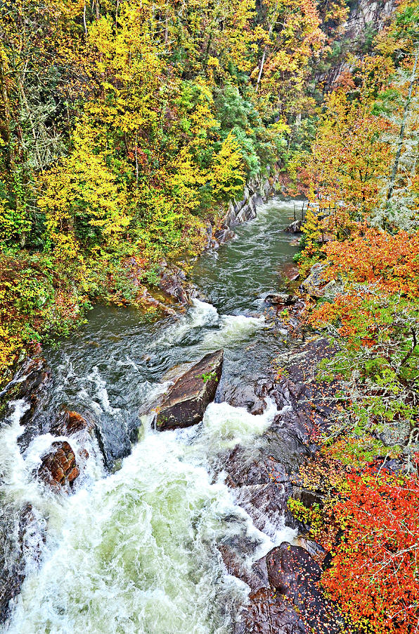 Autumn Flowing River Photograph