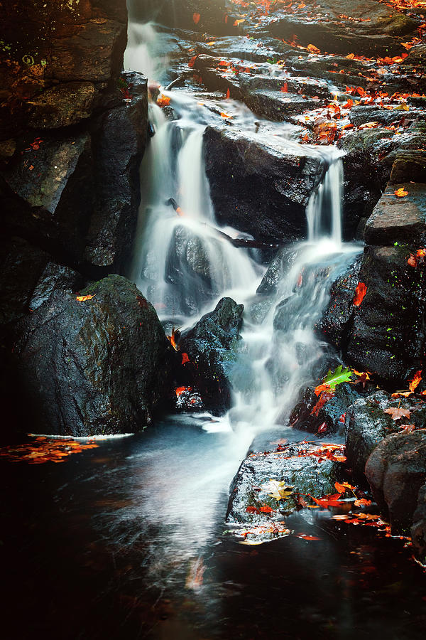 Autumn Flows Photograph by Robert Mintzes
