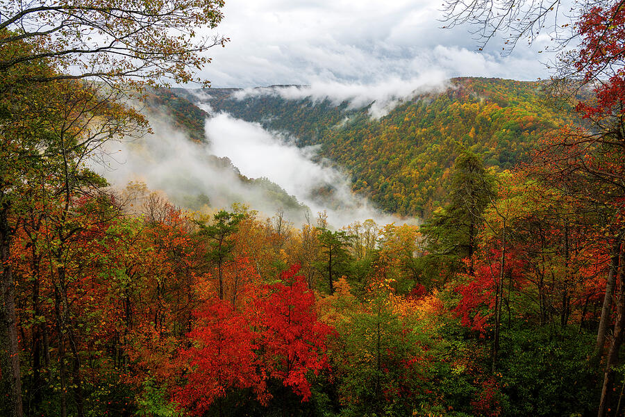 Autumn Fog At New River Gorge Photograph by Mark Papke