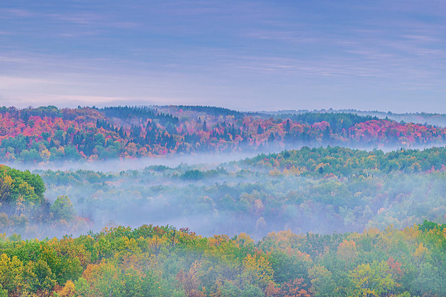 Autumn Fog Photograph by Flowstate Photography